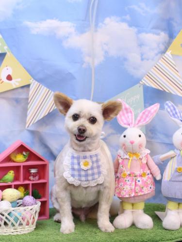 20240323ポンタくん